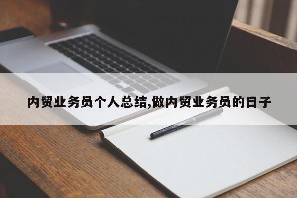 内贸业务员个人总结,做内贸业务员的日子